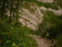 2014-08-02_06FritzPflaum-Steig (383).JPG